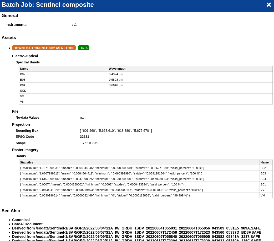 Result in openEO editor